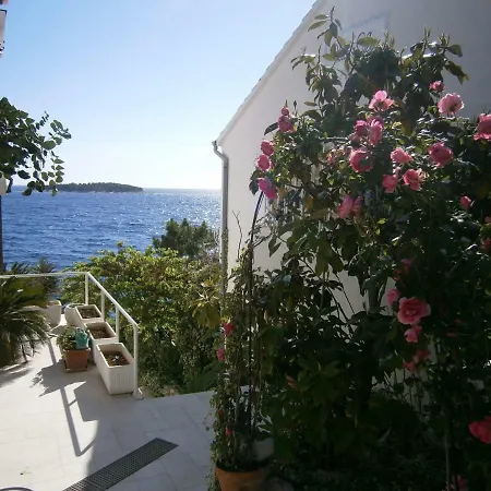 Apartman Adriatica
